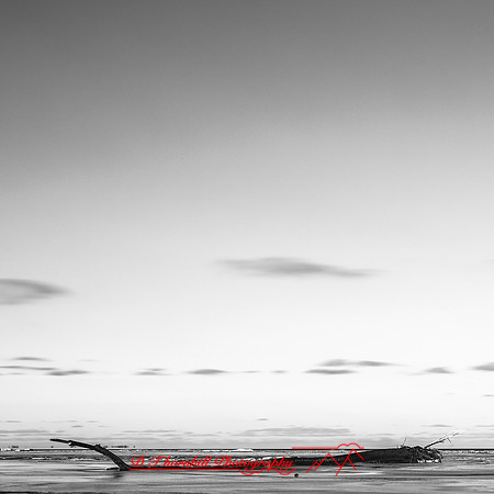 shadow-light-project-bay-city-state-park-2014-015