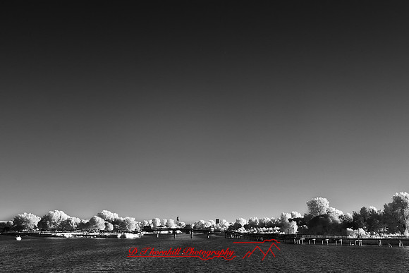 infrared-bay-city-2010-31-nik