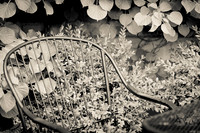 assorted_images-2012-107