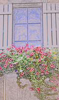 assorted-images-2006_024