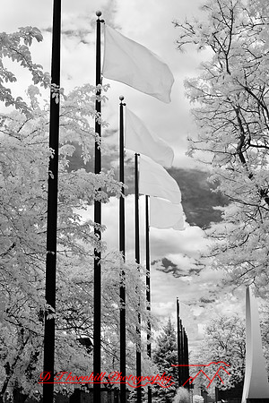 bay_city-infrared-2008_16