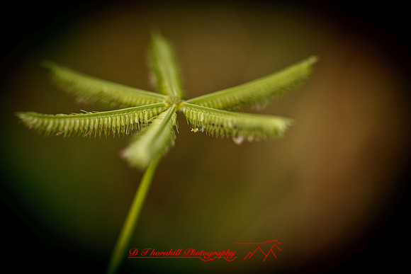 florida-nature-images-2011-22