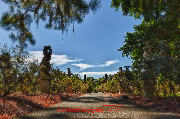 florida-images-2011_15-1_HDR
