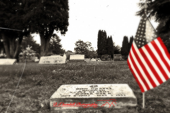 assorted_images-2011-129-nas