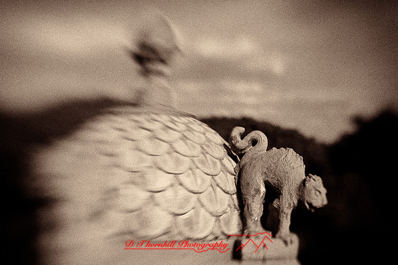 florida-2009-images_33-nik.jpg