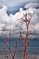 bay_city_state_park-2011-4-1_HDR