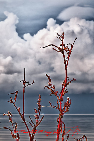 bay_city_state_park-2011-4-1_HDR