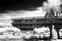florida-2009-people-infrared_12.jpg