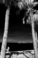 florida-infrared-images-2011-10