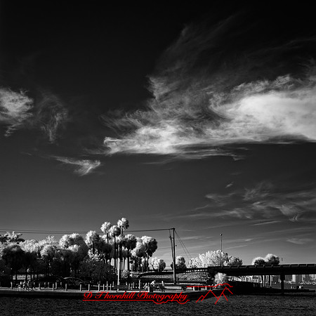 FL-March 2018-050_DxO