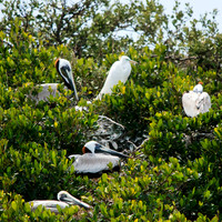 florida-2013-images-091