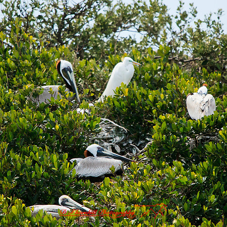 florida-2013-images-091