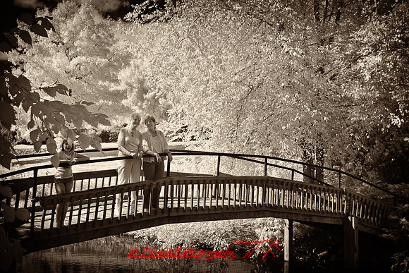 infrared-galesburg_il-2011-33-nas