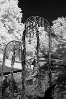 dow-gardens-infrared-2011-08