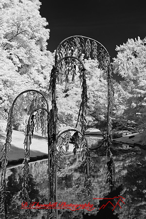 dow-gardens-infrared-2011-08