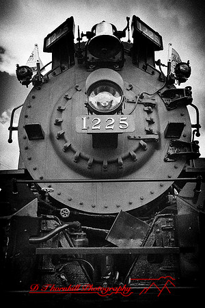 owosso_train-fest-2009_08-nik.jpg