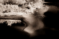florida-infrared-images-2011_3-1_HDR