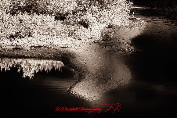 florida-infrared-images-2011_3-1_HDR
