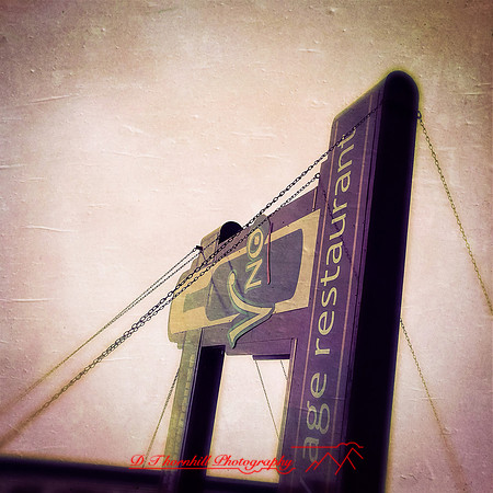 iPhones-2014-041
