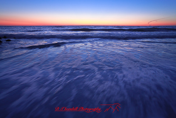 florida_images-2008_20.jpg