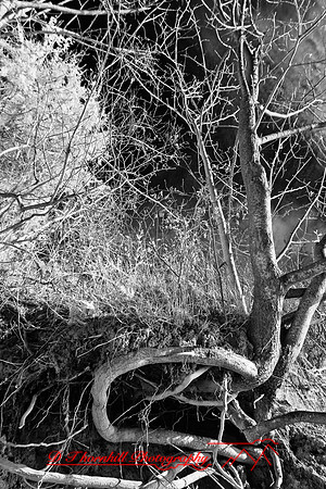 crystal_lake-infrared-2010_10