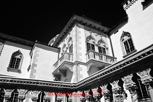 florida-2008-images-infrared_33.jpg