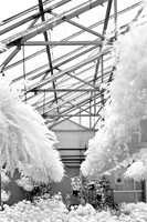 infrared-2009-people_02.jpg
