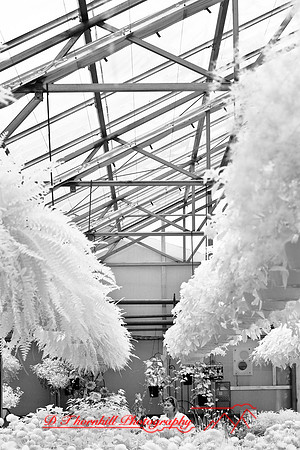 infrared-2009-people_02.jpg