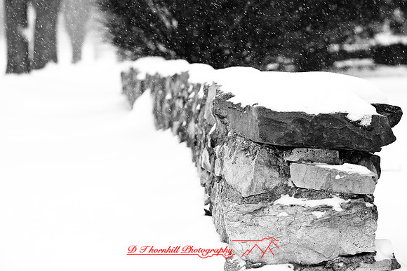 assorted_images-2009_011.jpg