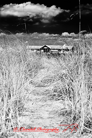 florida-2009-images-infrared_02.jpg