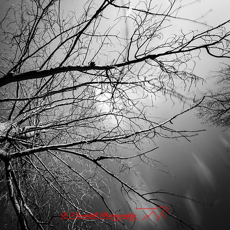 shadow-light-project-bay-city-state-park-2014-005