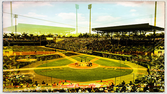 florida-march-2016-iphone-random-025