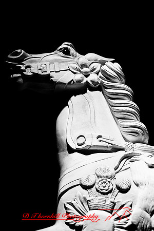 assorted_images-2008_23.jpg