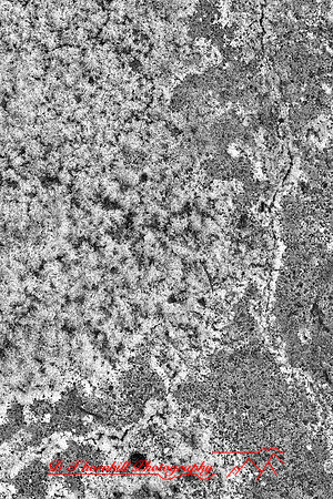 assorted_images-2011-186-nas
