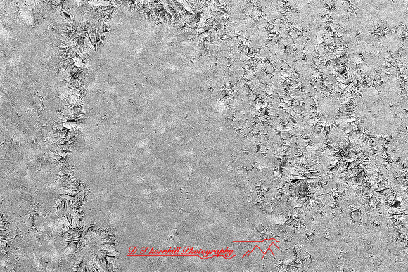 assorted_images-2011-179-nas