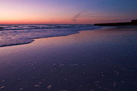 florida_images-2008_18.jpg