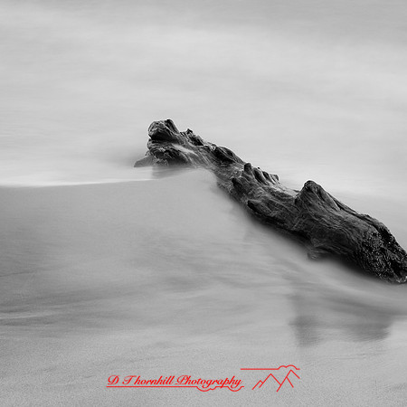 shadow-light-project-tawas-state-park-2014-017
