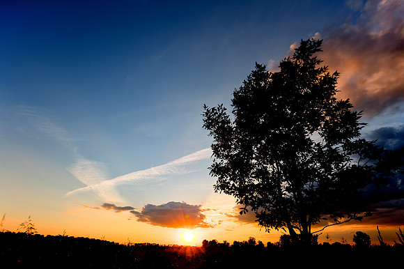 shiawassee-june-hdr-2008_02