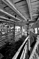 assorted_images-2011-61-nas