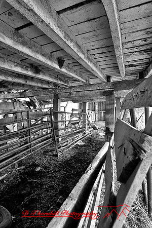 assorted_images-2011-61-nas