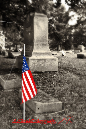 assorted_images-2011-130-nas