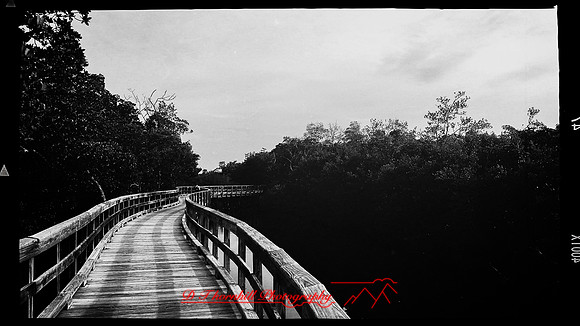 florida-march-2016-iphone-random-035