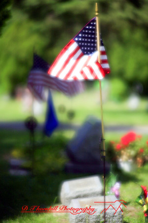 assorted-images-2006_040