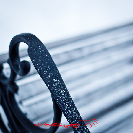 assorted_images-2012-174
