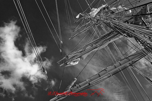 bay-city-tall-ships-2010-infared_33-nik