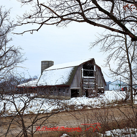 assorted_images-2012-160