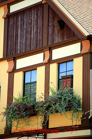assorted-images-2006_025