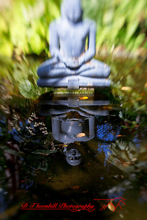 florida-2009-images_38.jpg