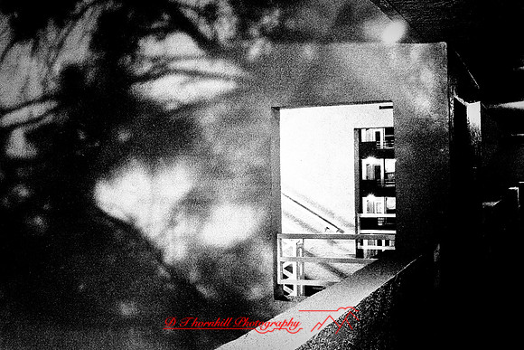 florida-2010-infrared-images_18
