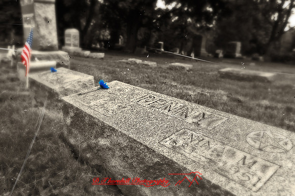 assorted_images-2011-131-nas